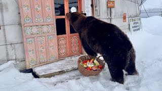 Медведь Залез В Кафе.