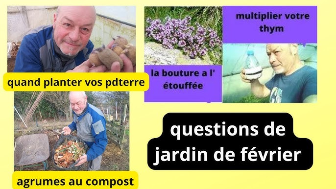 Comment utiliser le marc de café au jardin & à la maison ? - Déchets -  Sèvre & Loire - Comment utiliser le marc de café au jardin & à la maison ?