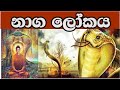 නාග ලෝකය පිළිබඳ දේශනාව.. - Galigamuwe Gnanadeepa Thero