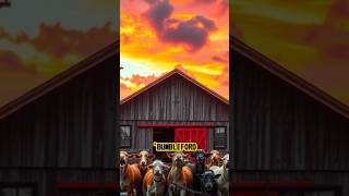 Cluckles The Karate Chicken Funny Animal Story Animated Kids Comedy