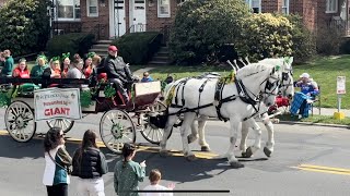 Allentown St.Patricks Day Parade.                                      Desfile de St.Patricio