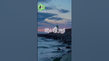 إبداع الشيخ محمد اللحيدان من سورة  اوخر سورة الفتح #نداء_من_السماء #محمداللحيدان #اكسبلور