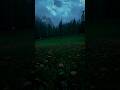 when you started finding peace in nature edit #edit