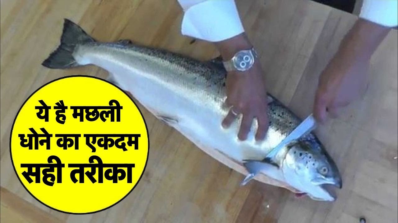 How To Wash Fish Properly Fish Cleaning YouTube How To Wash Fish Properly Fish Cleaning YouTube