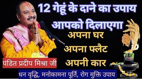 12 गेहूं के दाने का उपाय | Gehu ke dane ka upay |pandit pradeep mishra