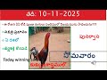 10 November 2025 today winning colours/Today winning colours /vision of kukkuta sastram in colours