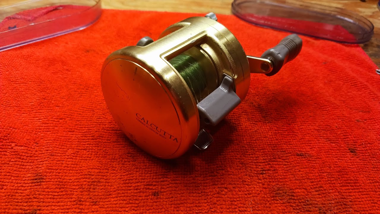 Shimano Calcutta 250 Baitcasting Reel Disassembly Service 