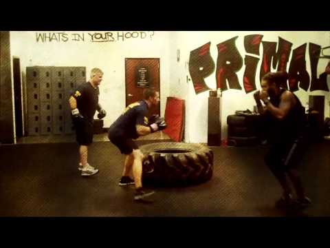 Scottsdale K-9 Police Unit Training with Amenzone Fitness