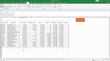 BÁO CÁO TỔNG HỢP 12 THÁNG LƯƠNG BẰNG SQL TRONG EXCEL