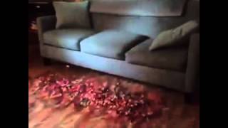 nappin   Funniest Best Vines