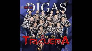 Banda Triguera "No Le Digas"