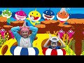 Baby Shark Do Do Do Sound Variations Loop Nursery Rhymes for Toddlers