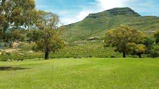 View from the Gumtree accommodation.