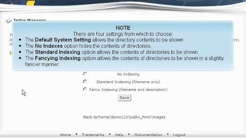 How to use the index manager