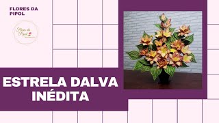 ESTRELA DALVA - FLORES DA PIPOL - thptnganamst.edu.vn