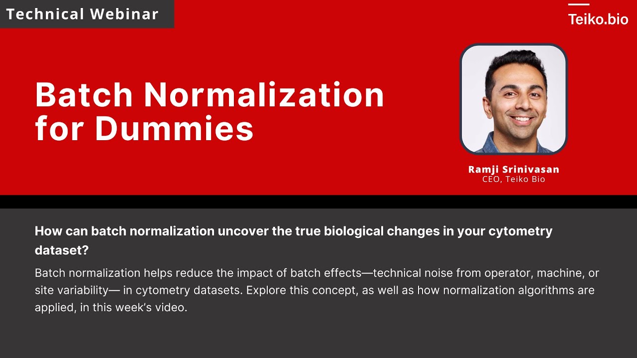 Batch Normalization for Dummies - YouTube