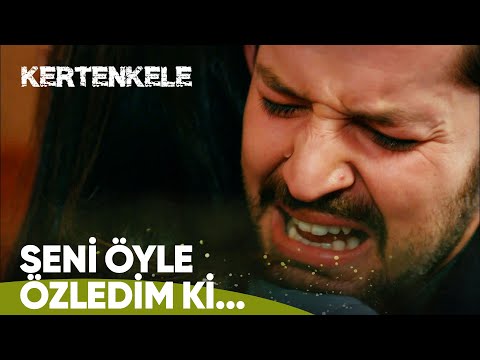 Ziya, Zehra'sına öyle bir sarıldı ki... - Kertenkele 85. Bölüm