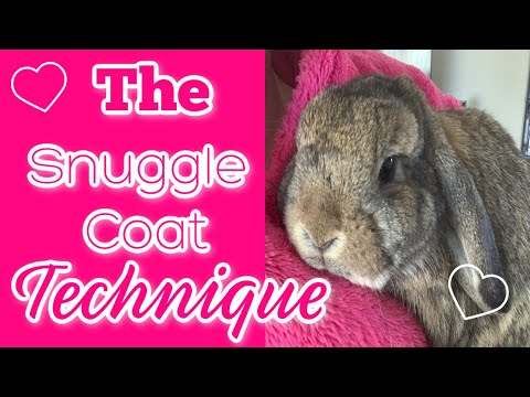 Video: Bisakah Anda menggunakan snuggle safe untuk kelinci?