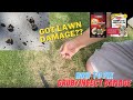 Got Grub Damage? | How to Fix Grub/Insect Damage in your Lawn | Quick Instant Kill and Seasonal Fix!