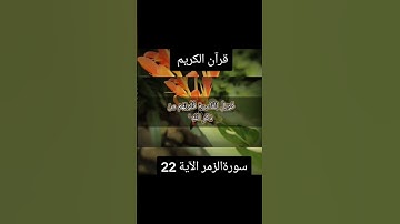 سورة الزمر الآية 22#قران_كريم #لايك_متابعه_اكسبلور #Quran