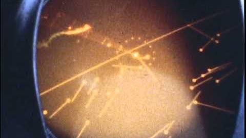 ARPA Video Manual Acquisition