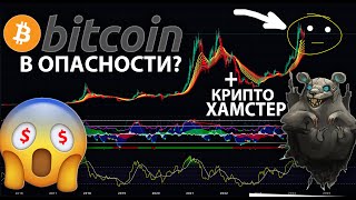 БИТКОИН В ОПАСНОСТИ?! АЛЬТЫ СКАМ?? ИЛИ ВСЕ-ТАКИ БУЛРАН? feat. @CryptoHamster