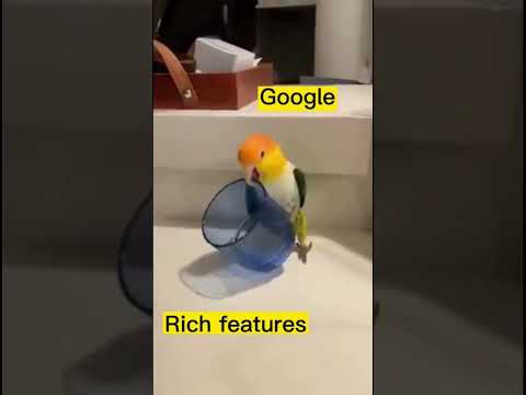 seo services cost