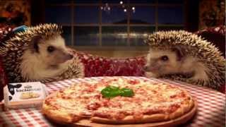 Lactofree TV Commercial - Hedgehogs trained by A-Z Animals