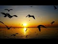 Música original, para dormir, relajarse o trabajar
