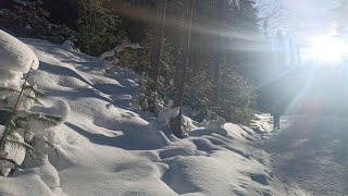 картинка: Экотропа Экоборус - водопад. Шушенский район, Красноярский край 10.02.2024г.  #борус  #сибирь