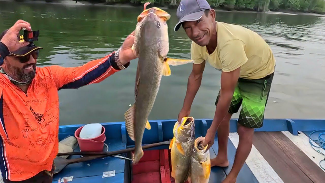 Usamos duas formas de pescar(vara de pesca e linha de mão) VEJAM!