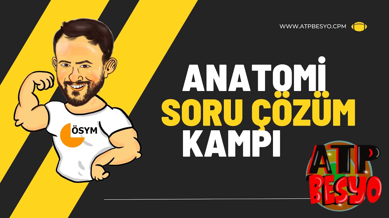 İnsan Anatomisi ve Kinesiyolojisi Soru Çözüm