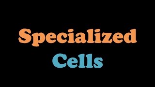 Specialized Cells