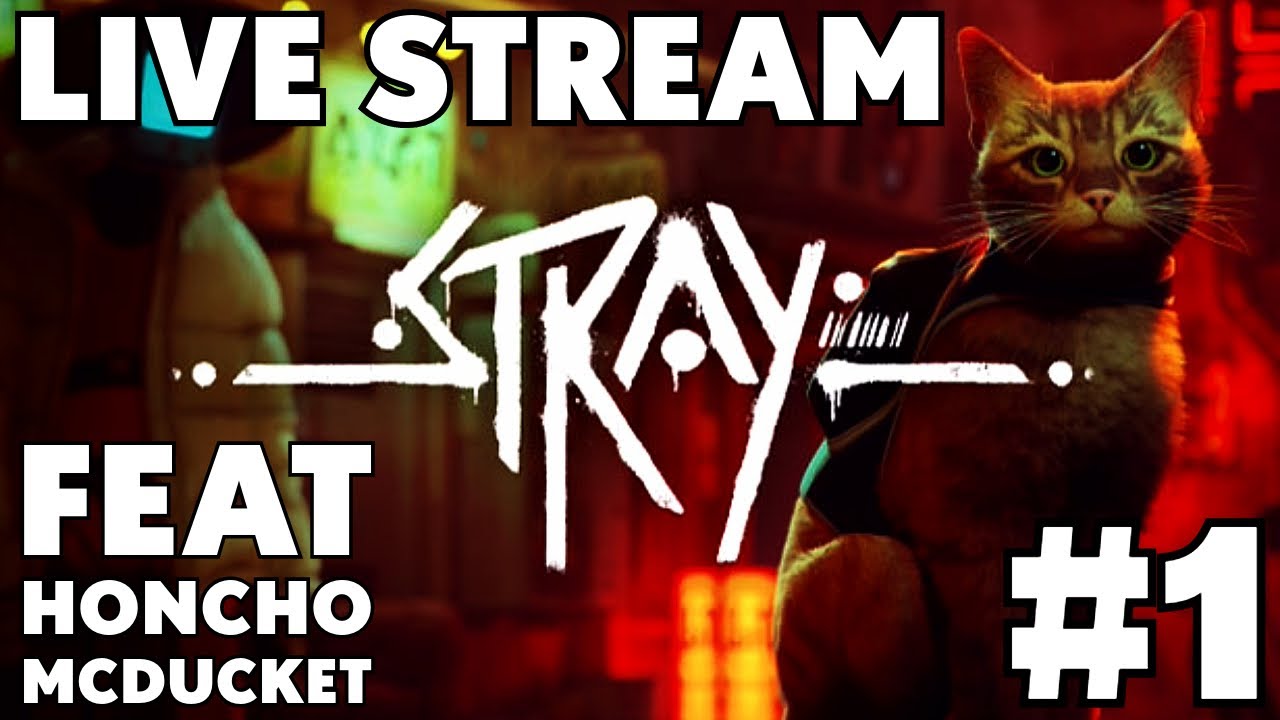 Lets Play STRAY! PS5 LIVE Stream Feat. @HonchoMcDucket [1/4] (#stray # ...
