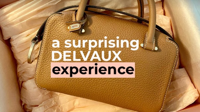 Delvaux 'cool Box Mm' Leather Bag in Brown