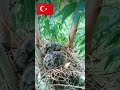 inancın çağı yok Allah a kul olmak var