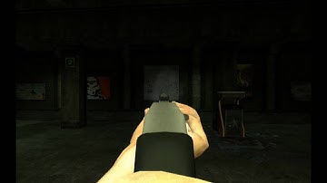 NMRiH Ruger 10/22 Animation Demo