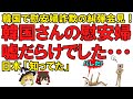 【ゆっくり解説】韓国さんで慰●婦●欺清算連帯が会見！慰●婦は嘘だらけだと糾弾！国民と世界を騙したと吠える！いいぞ、もっとやれ！でも日本は巻き込まないで下さいね