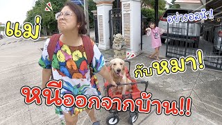 แม่กับหมา หนีออกจากบ้าน ต้องตามไปง้อด่วน!! | ละครสั้นหรรษา | แม่ปูเป้ เฌอแตม Tam Story