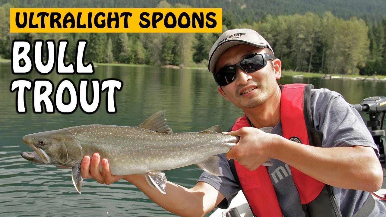 Ultralight Trout Spoons  Fishing with Rod 