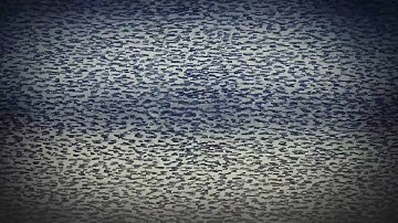 WE LIVE IN TRENCHES –  Black Friday [official video]