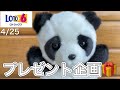 4/25ロト6の当選プレゼント応募動画です!Twitter平日毎日PayPayプレゼント企画実施中