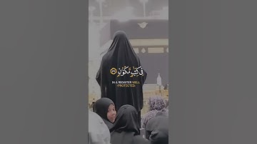 تلاوة رائعة و هادئة #راحة_نفسية #المصحف