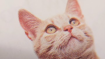 Shot Using Macro Lens from Adcom 5 in 1 Mobile Lens Kit with Tripod | Short Film By Sunith S Kumar