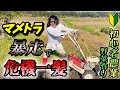 農業初心者と学ぶ【野菜作り】 暴走マメトラで土作り編