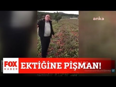 Ektiğine pişman! 15 Aralık 2021 Selçuk Tepeli ile FOX Ana Haber