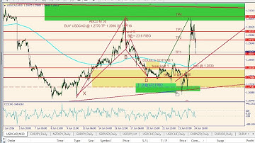 Amira Popov  + 260 pips buy idea USDCAD ABCD fibonacci 21.06.16 - 24.06.16 - 2 - after