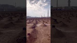 تلاوة هادئة جدا بصوت القارئ محمود جمال |🌿💙 أرح قلبك #explore #اكسبلور #quran  #reels