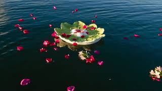 Earth Memorials has unique biodegradable urns to scatter human ashes into the ocean water or earth