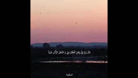 بضع آيات من سورة مريم بصوت ياسر الزيلعي